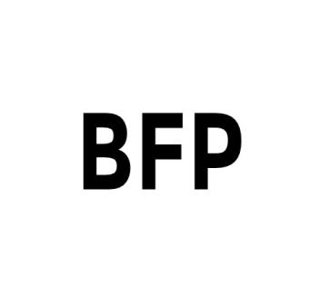 BFP - Brute Force Protection Pro